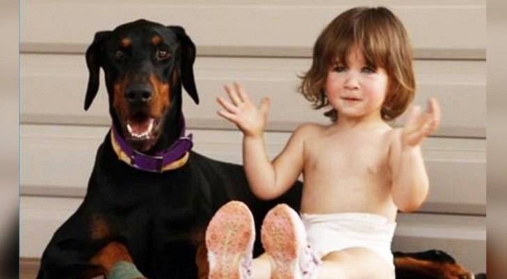 A Doberman sacrifices himself and saves an infant girl from a poisonous snake 