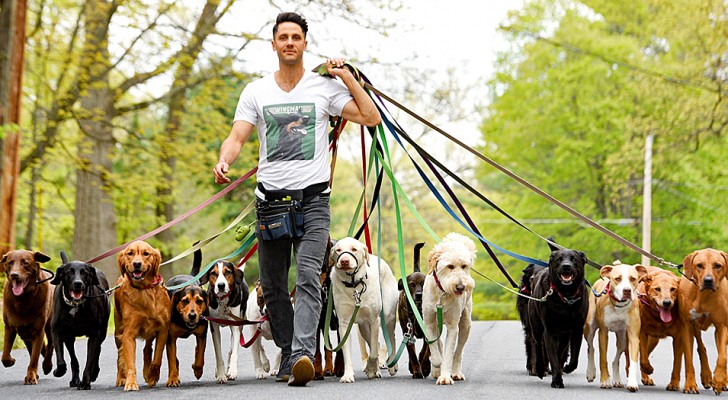 Den här killen lyckas promenera med 20 hundar på samma gång, och förevigar det hela med ”klassfoton”