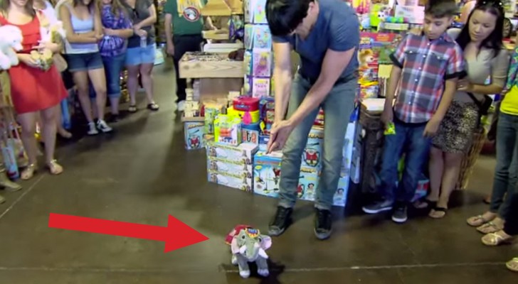 Imagine if toys began to walk? Here's the crazy video!!