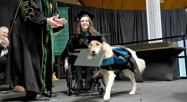 Guide dog gets an honorary degree for accompanying his owner to class: now that she gets to graduate, so does he