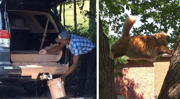 15 foto's van tegenslagen en vreemde situaties waarbij we onze adem inhielden