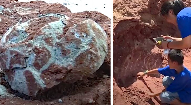 Een jongen ontdekte per ongeluk een nest met 11 dinosauruseieren tijdens het spelen in de buurt van een rivier