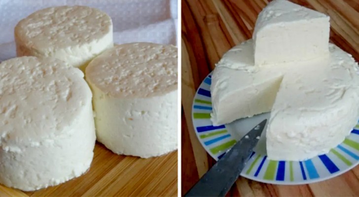 Fresh cheese you can make at home, and it takes only 3 ingredients to prepare 