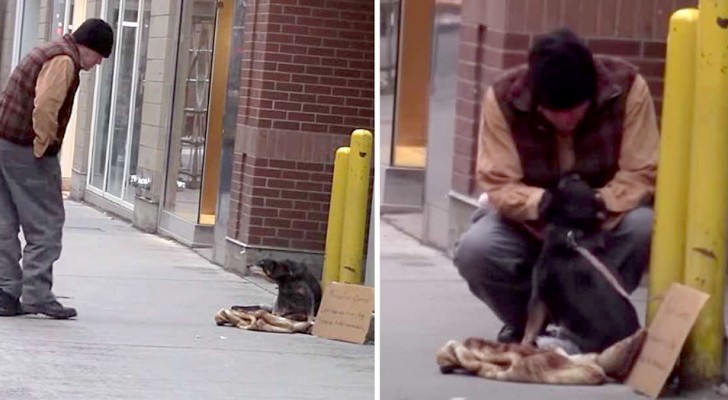 A Youtuber left a dog stranded on a sidewalk to see who would stop and help them: the only person who stopped was a homeless man