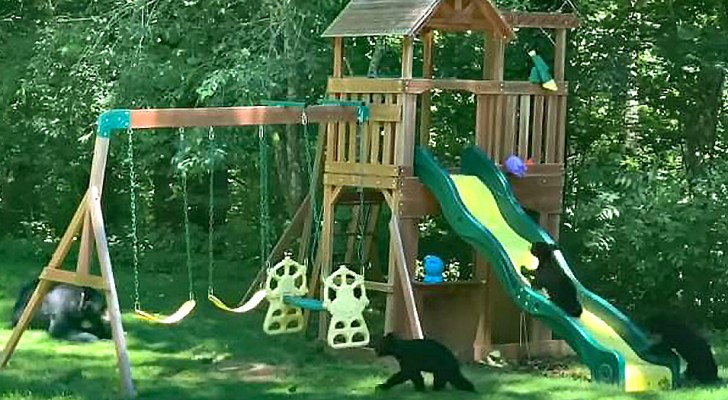 Mamma orsa e i suoi cuccioli si divertono in un parco giochi per bambini rincorrendosi su scivoli e altalene