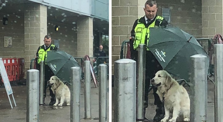 Ripara un cane dalla pioggia con il suo ombrello: il gesto altruista del dipendente di un supermercato