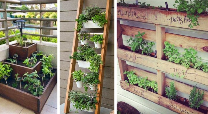 11 idee originali e salva-spazio per coltivare frutta e verdura in pratici orti da balcone