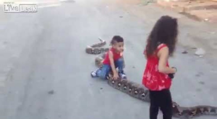 Fratellini giocano con un serpente