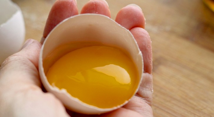 Les œufs : source naturelle de vitamines et de protéines, ils sont recommandés pour une alimentation saine et équilibrée