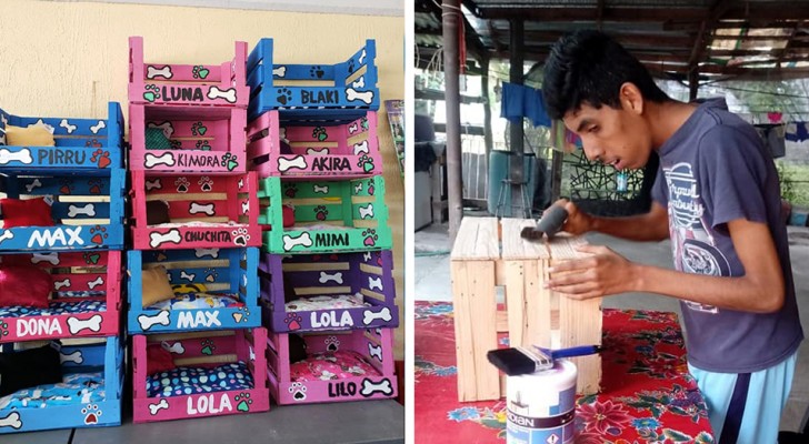 Un ragazzo disabile impara a lavorare il legno e costruisce comode cucce per cani e gatti