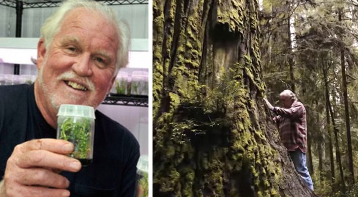 Quest'uomo clona gli alberi più alti della Terra e li ripianta in luoghi più adatti alla loro sopravvivenza