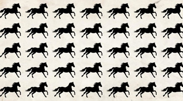Ein unterhaltsames visuelles Spiel: Zwischen diesen Pferden gibt es einige sich unterscheidende, aber wenigen gelingt es, sie sofort zu finden