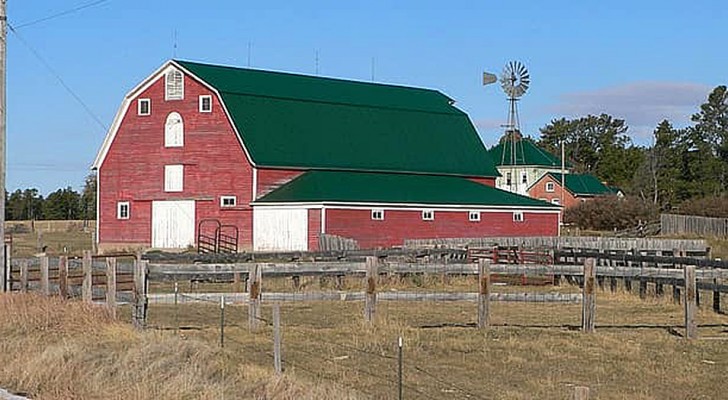 200 farmers remain silent during an auction so that the man who lost it could buy his farm back