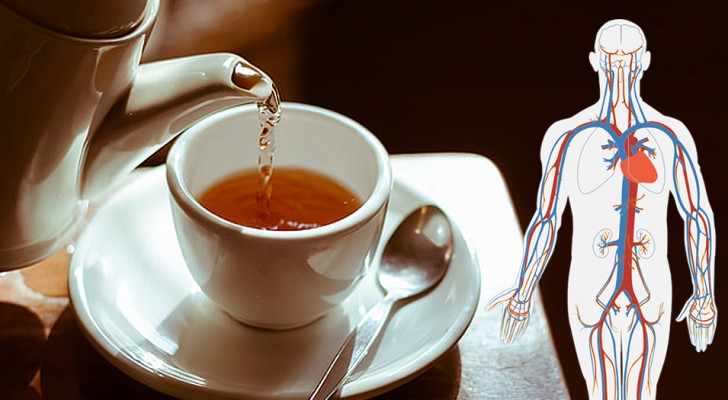 6 tipi di tè ricchi di proprietà benefiche per la nostra salute: veri e propri elisir di benessere