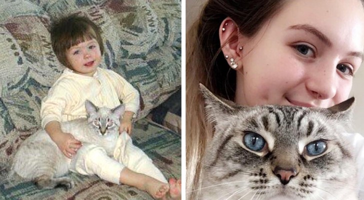 13 personnes comparent les photos de leurs chats quand ils étaient jeunes et vieux : ce sont d'adorables compagnons de vie