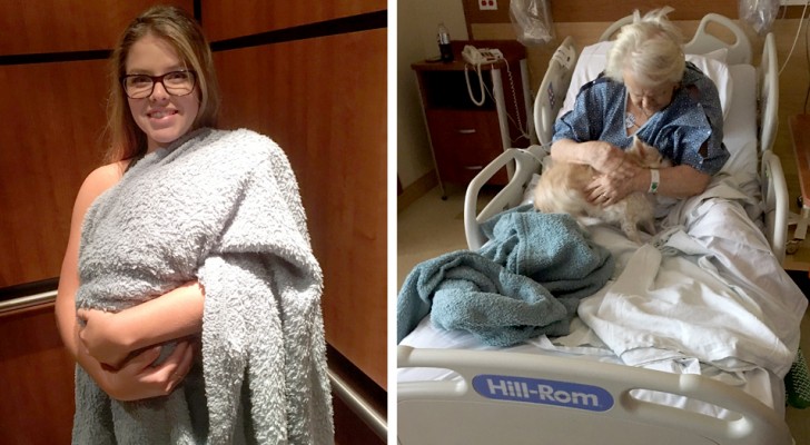 A woman disguises the dog as a newborn to take him to visit the grandmother in the hospital