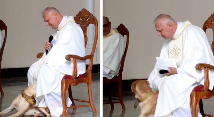 Um cachorro entra na igreja durante a missa: o padre não o afasta e começa a brincar com ele