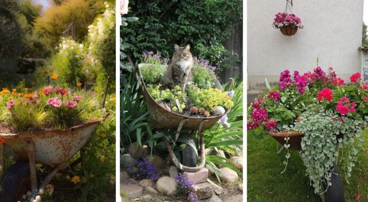 12 hele leuke ideeën om een oude kruiwagen te recyclen en er een tuindecoratie van te maken