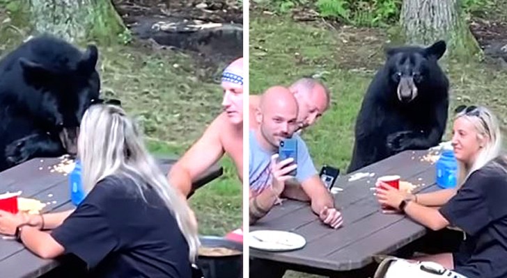Ein hungriger Bär gesellt sich unerwartet zu einer Familie während eines ruhigen Picknicks im Wald