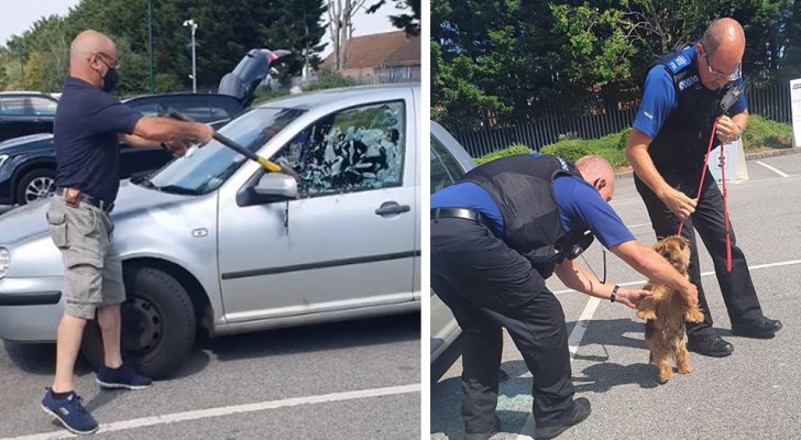 Un hombre ve un perro encerrado en un auto bajo el rayo del sol: rompe el vidrio con un hacha y lo salva