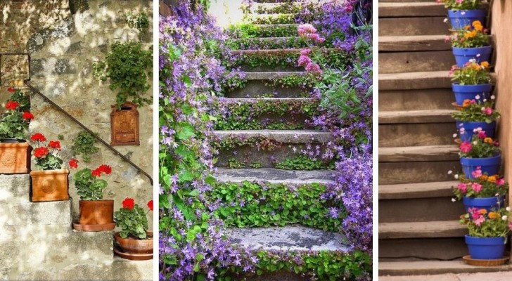 9 incantevoli spunti per abbellire le scale d'entrata con vasi e fiori colorati