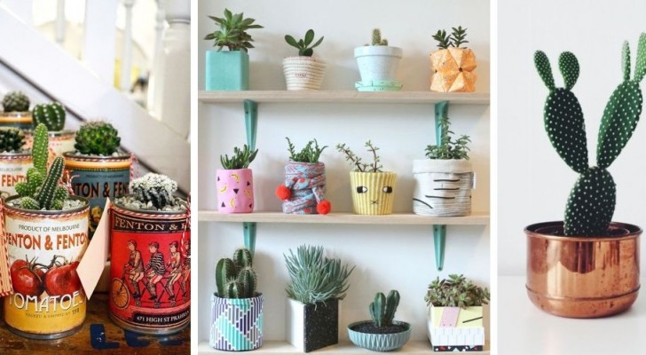 12 simpatiche proposte per arredare ogni stanza di casa con piccole piante di cactus