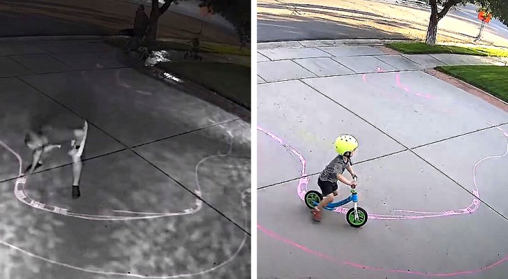 A child plays with his bike every evening in the neighbor's driveway: the owner makes a course for him