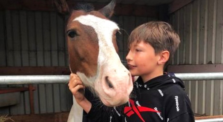 Un niño de 13 se tira en un canal para salvar un caballo: le sostuvo la cabeza durante una hora