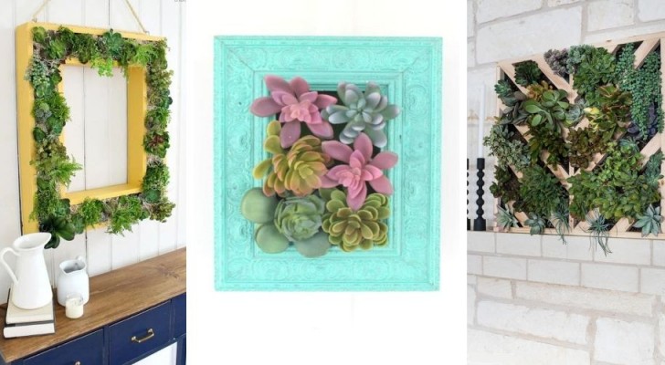 11 trovate irresistibili per creare un quadro di piante succulente e decorare con la natura