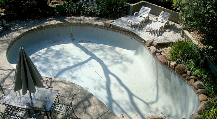 He bought an old house for little money and then discovered it had a large swimming pool hidden in the garden