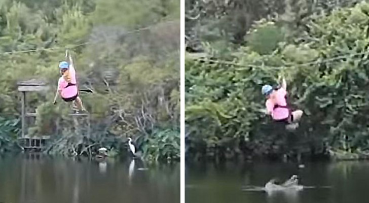 Una mujer volando en un teleférico es sorprendida por un cocodrilo que salta del agua para morderla