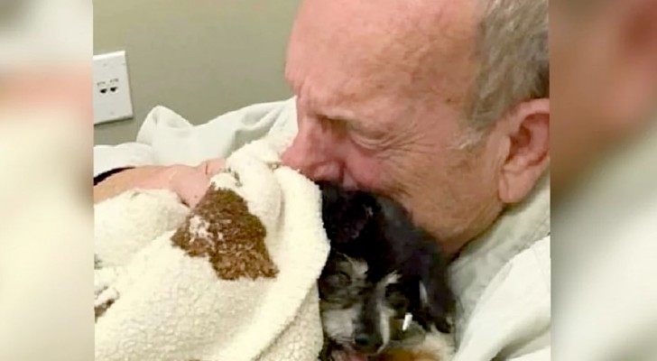 An old man dies of a broken heart shortly after his faithful dog passed away due to illness