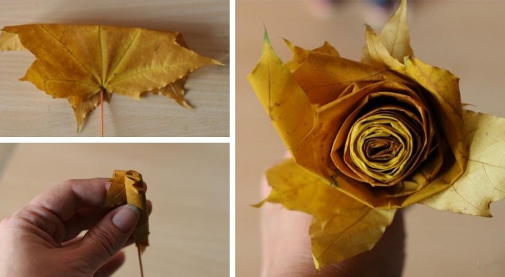 Il metodo semplice e veloce per modellare splendide rose con le foglie autunnali
