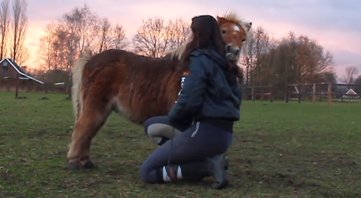Kijk eens hoe een ontsnapte pony de dressuurles kan ruïneren. Geweldig!