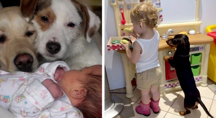 15 foto che testimoniano il profondo affetto che può instaurarsi tra un bambino e il suo cane