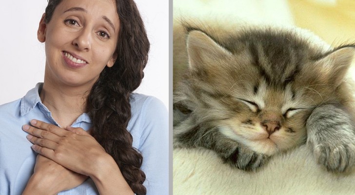 Il potere "curativo" dei gattini: foto e video di animali teneri ridurrebbero ansia e stress, secondo uno studio