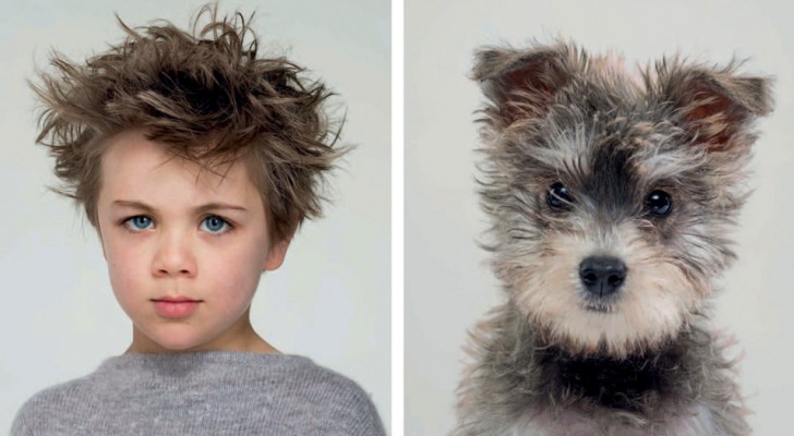 Een fotograaf getuigt van de ongelooflijke gelijkenis tussen honden en baasjes met prachtige foto's