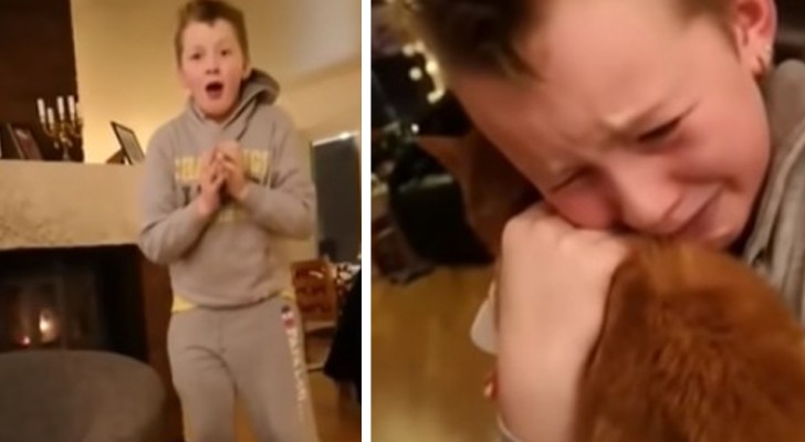 Das bewegende Video eines Jungen, der seine verschwundene Katze nach 7 Monaten endlich wieder in die Arme schließt
