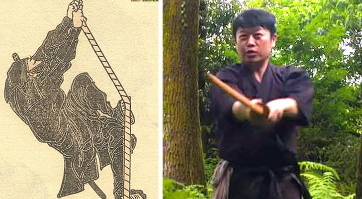 Un'università giapponese lancia il primo corso di studi sui ninja: una laurea singolare e ricca di tradizione