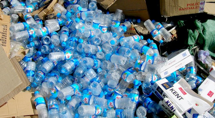 La Sicilia diventa plastic-free: addio alle stoviglie e ai contenitori non biodegradabili negli enti e negli uffici