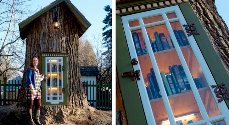 Salva un vecchio albero che doveva essere abbattuto e ci costruisce dentro una piccola biblioteca per l'infanzia