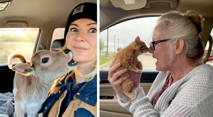 20 Menschen, die sich auf den ersten Blick in diese Tiere verliebt haben