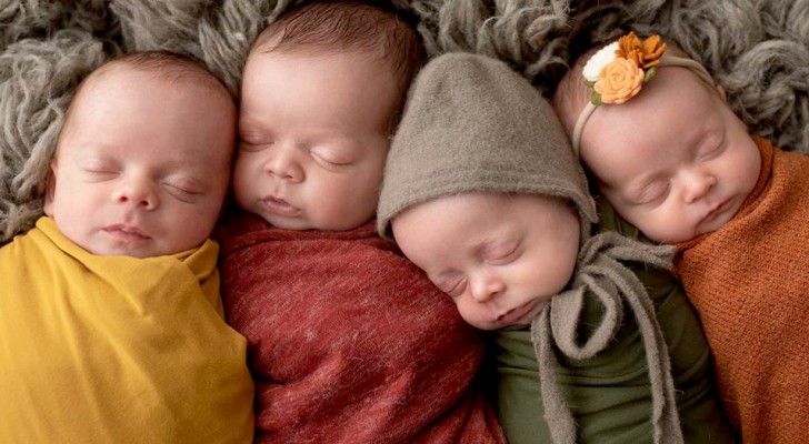 A woman becomes pregnant with quads shortly after adopting four siblings