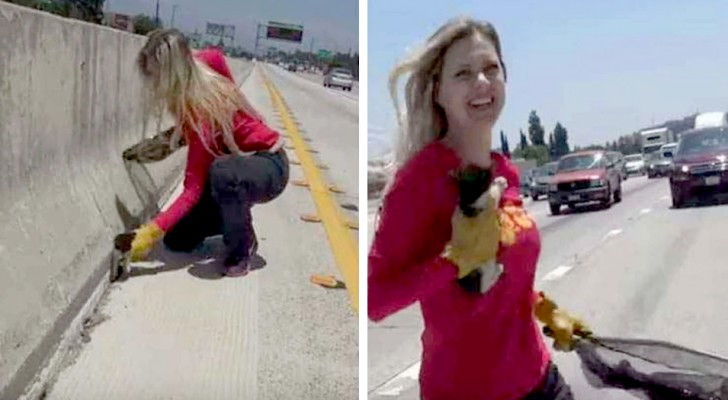 Para o trânsito na rodovia para resgatar um gatinho em dificuldades antes que fosse tarde demais