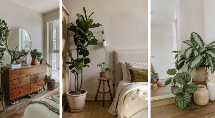 Grote waanidee erven Jongleren Arredare la camera da letto con le piante: 10 proposte irresistibili per  portare il verde in casa - Creativo.media