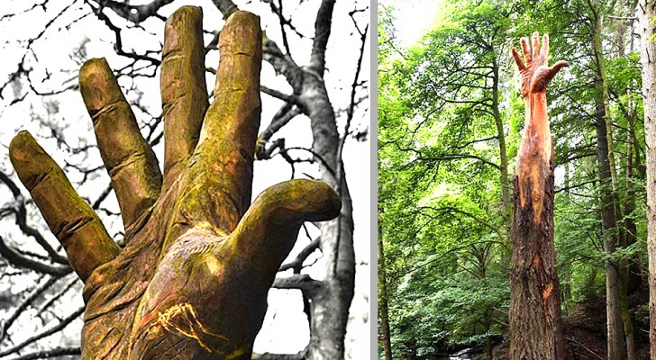 Un artista trasforma un albero destinato all'abbattimento in una gigantesca mano protesa verso il cielo