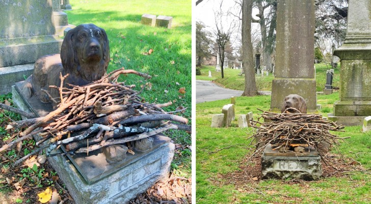 Al posto dei fiori le persone stanno lasciando dei bastoncini sulla tomba di questo cane, per il suo centenario