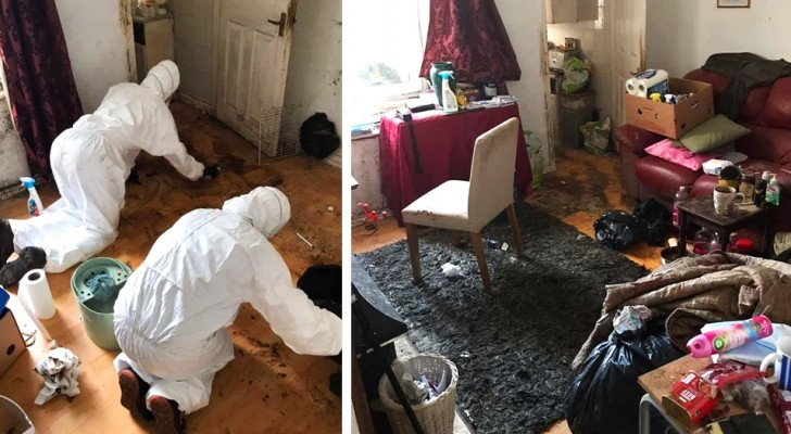 He hadn't cleaned the house for 12 years, so his friends helped him: after 50 hours of cleaning the apartment was spick and span