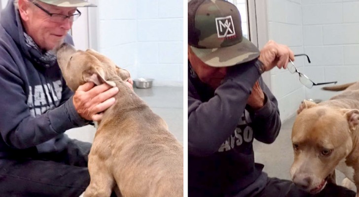 He found his dog after 200 days of relentless searching: their first cuddle on meeting again is touching