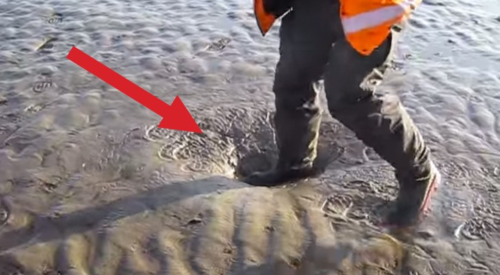 Esto es el extrañisimo fenomeno que se produce caminando sobre las arenas movedizas